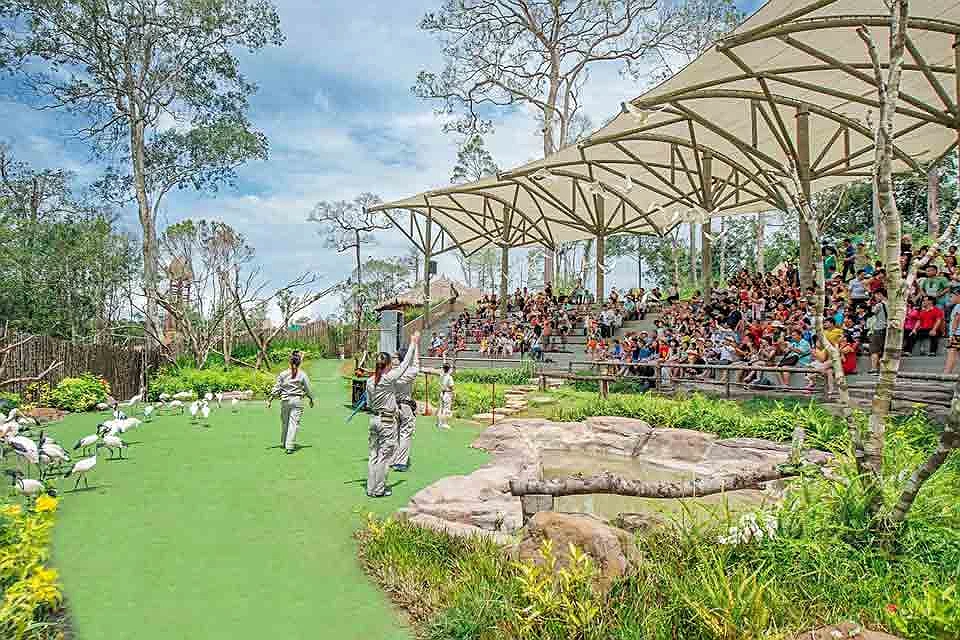 Khám phá Vinpearl Safari Phú Quốc