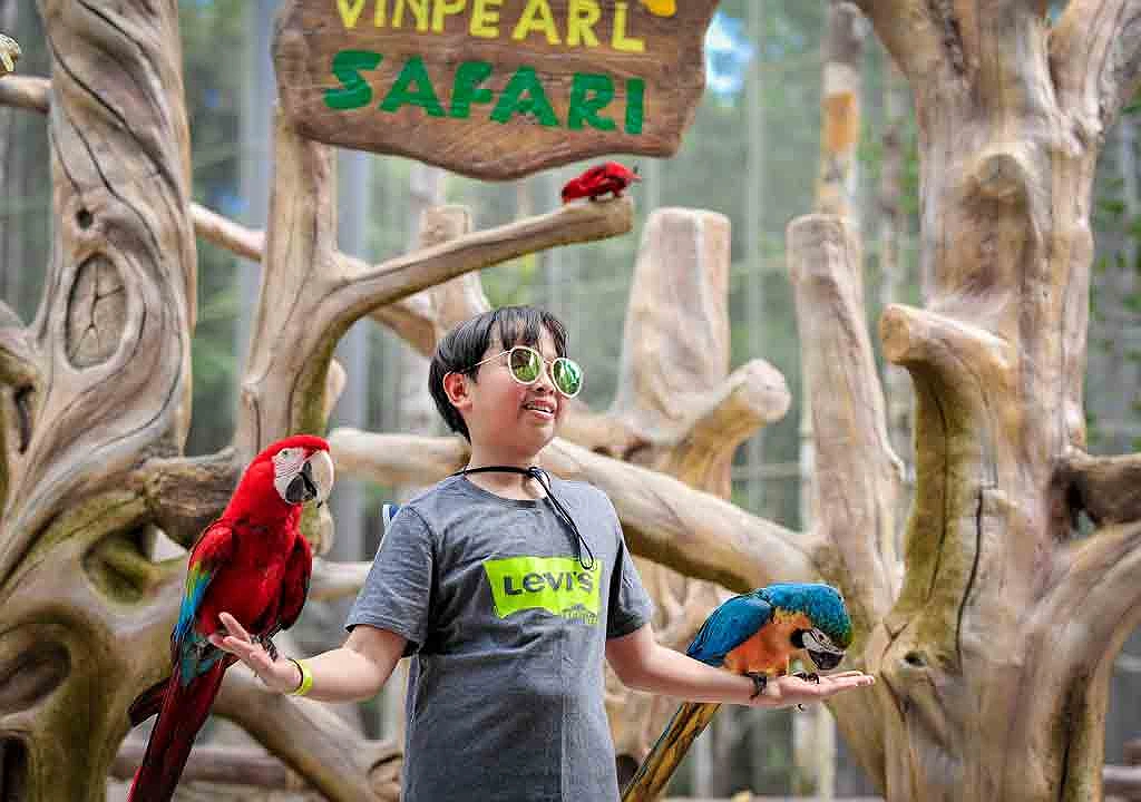 Khám phá Vinpearl Safari Phú Quốc